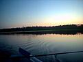 fiskar g�s