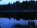 nattfiske