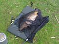 11370 gram ren, fet k�rlek..