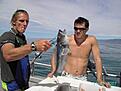 blue cod