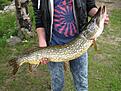 Fiske 2010 06 01 005