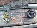 Mina drag o flugor....gladsax o pattegrisen g�r att lita p� :-)