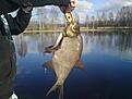 Fin brax p� jerkbait