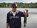 Plats: Drevviken
Datum: 21 Maj
Vikt: 0,7kg
Bete: Spinnare Reflex red
C&R: Nej