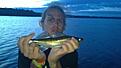 J�klit liten g�s