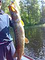 20090609012 liten