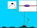 Bottom rig tackle.