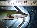 DSC00086