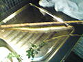 DSC00085