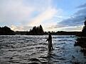 Flugfiskar harr i dal�lven