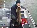 10,8 kg