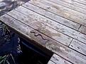 DSC02549