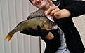 Det l�nar sig att g� upp tidigt o fiska :-)