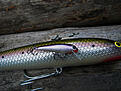 Toni Halme Lure