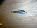 abborre fluga 1
krok: valfri streamer krok
bindtr�d: svart
stj�rt: wing �n flash
kropp: wing �n flash
rygg: svart flash