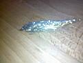 abborre 2
krok: valfri mindre krok
bindtr�d: svart
stj�rt: wing �n flash
kropp: wing �n flash