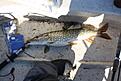 IMG 6758