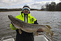 En glad m�larkung