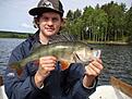 Abborre 1,06 kg