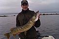 Fin liten g�dda strax �ver 4kg