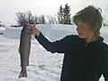 Trout caught in M�svatn Norway 1.6 kg