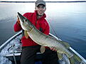 G�dda ~8,4 kg