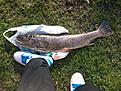 foten som j�mf�relse, samma �ring p� 4 kilo