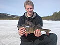 abborre 1.2kg