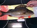 IMG 0383[1]