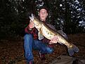 PB p� 4.2