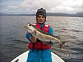 norgefiske