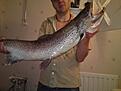 Havs�ring 6 kg p� en 18g sj�lvlysande vit soelvkroken special (skeddrag)

�ter igen en f�r stor bild..  titta p� den utan att trycka upp den