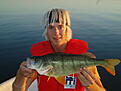 sommarn 2005 059