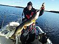 Vacker h�st dam!