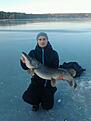 405110 10150470339228481 703233480 8624814 1691192189 n