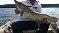 PB med 8,4 kg