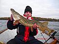Fin fisk 7+