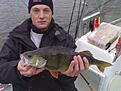 Bonusborre p� 1,22 kg tagen p� Rapala Super Shad Rap.