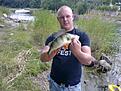 Abborre tagen p� mete med l�ja i Stora V�rtan sommar 2011