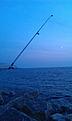 fiske i hamnen helsingborg