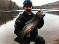 En fin havs�ring tagen p� spinnfiske
5,2 kg