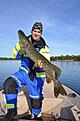 H�stg�dda 105cm l�ng
K�rde egentligen efter aborre...
