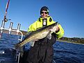 G�s 6,1 kg