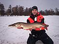 fin g�dda 9.8kg