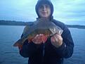 abborre 1,1 kg pb f�r mig