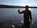 IMG 8255