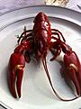 Giselobster