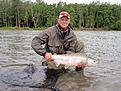 En Chum Salmon (Hundlax) fr�n Kitimat River.