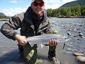 SockEye fr�n Skeena River.