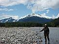 Helt ok fiskemilj� runt Skeena.